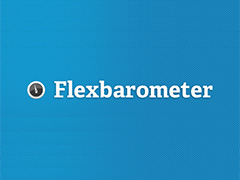 logo_flexbarometer