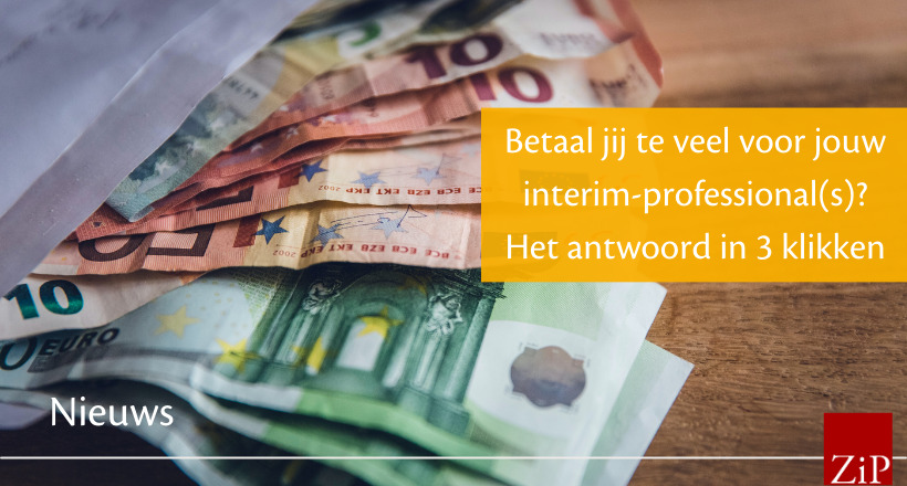 Betaal jij te veel voor jouw interim-professional(s)? Het antwoord in 3